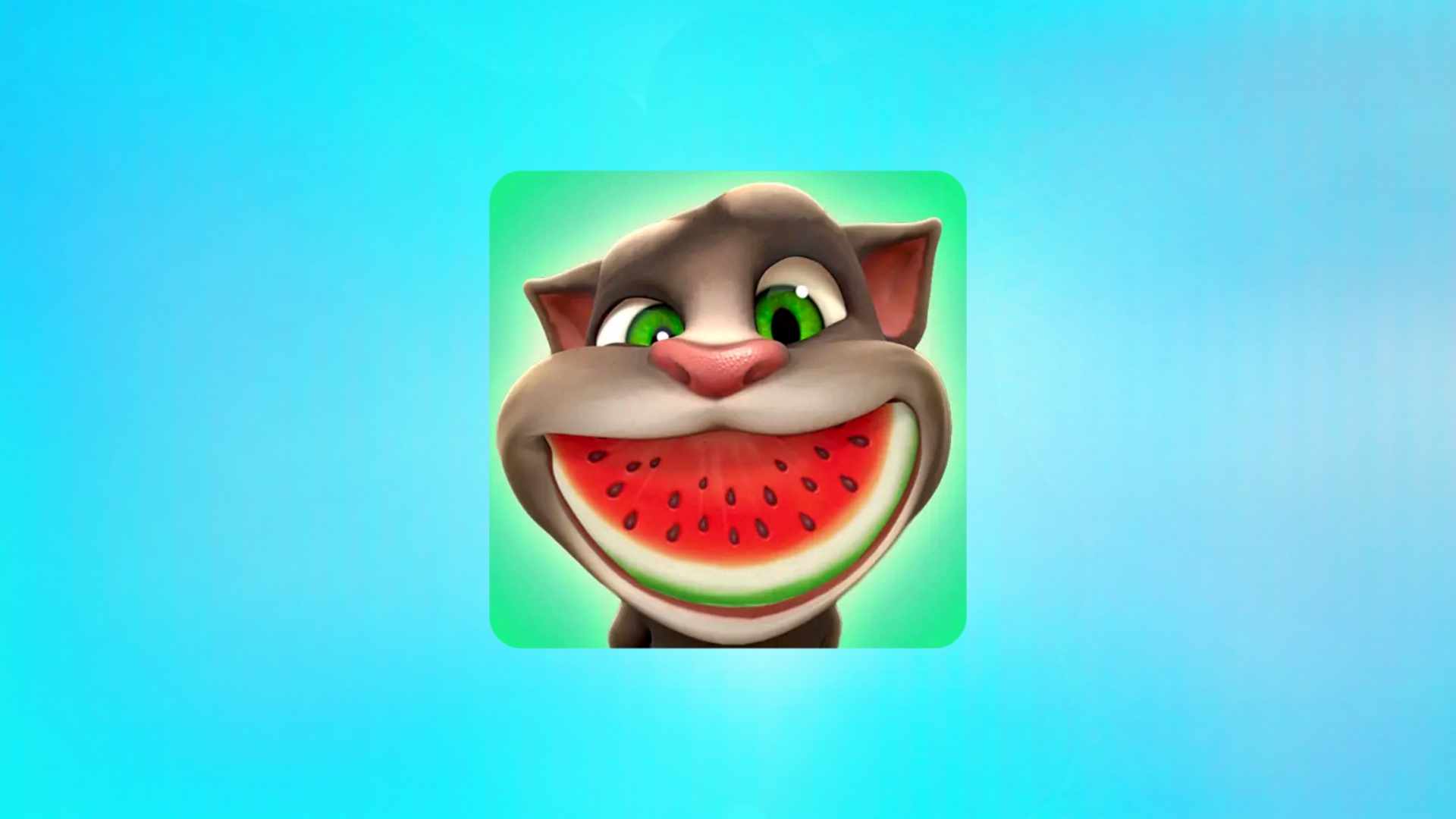 הורד את המשחק Talking Tom 2024 הגרסה האחרונה בחינם